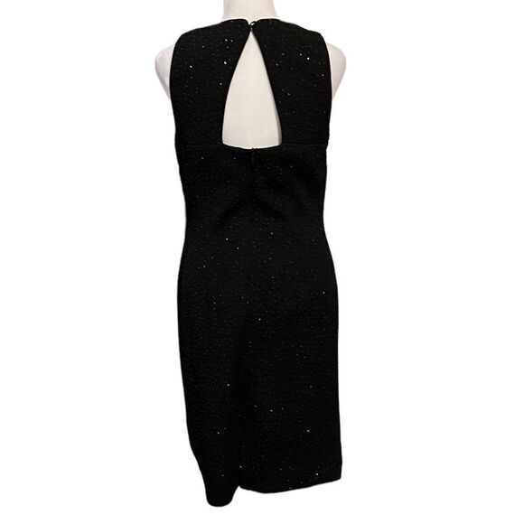 David Warren NY NWT black sparkly sleeveless zip back keyhole lined sheath dress - Picture 2 of 13